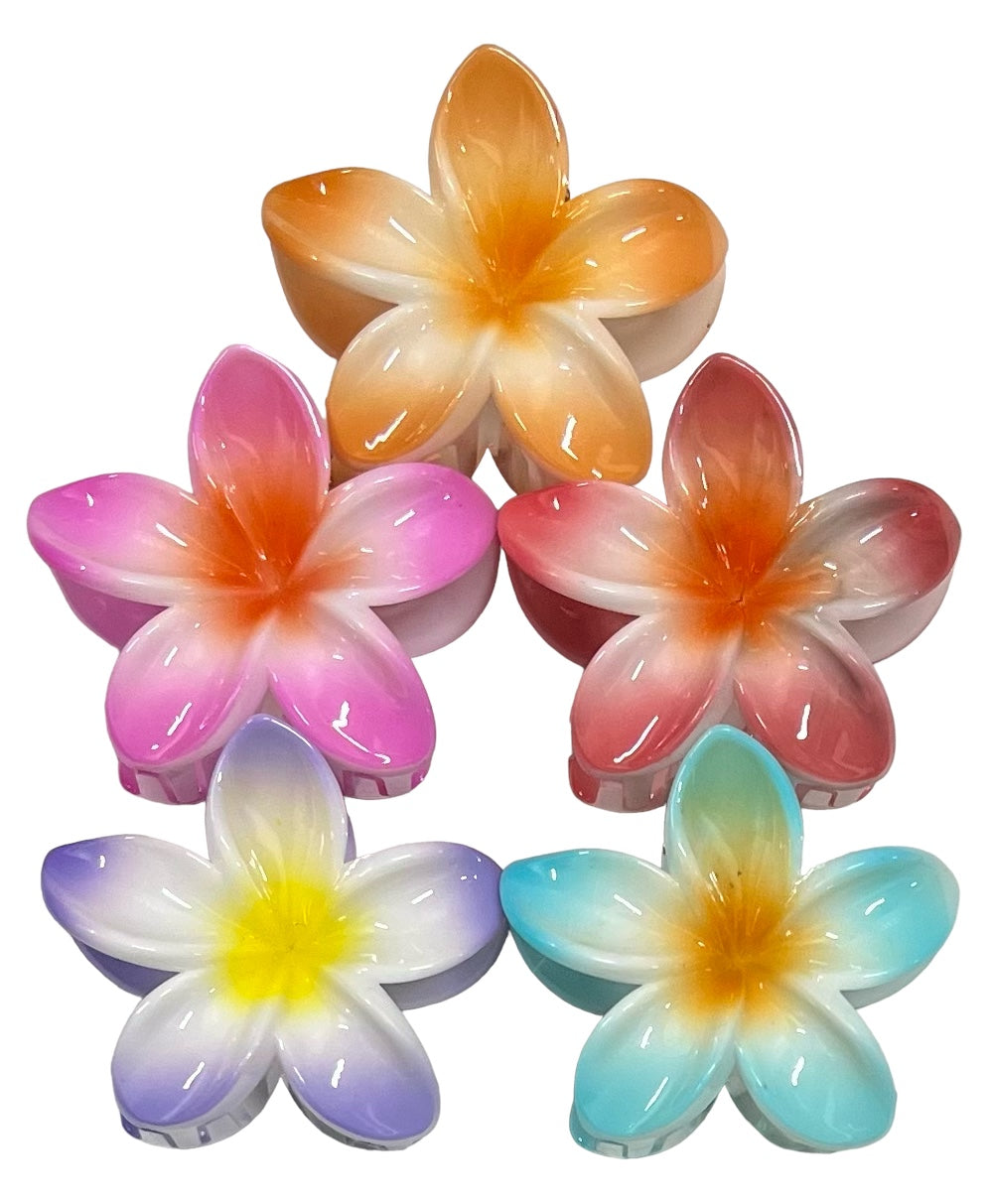 Hair Claws Franjapani flowers 8cm